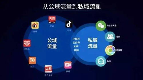 圍墻漸拆，新局將啟 互聯互通背后的互聯網權力重塑